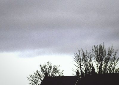 Low angle view of tree against cloudy sky