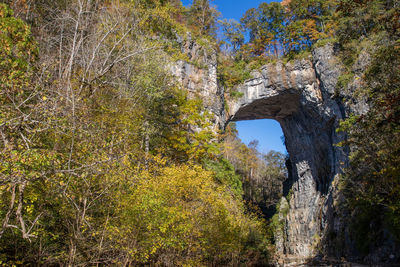 Natural bridge