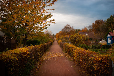 Footpath amidst trees against sky during autumn