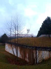 Bare trees by lake against sky