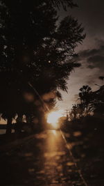 Silhouette of trees by street against sky during sunset