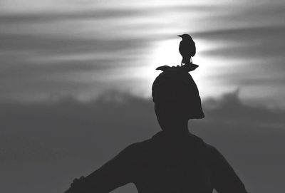 Low angle view of silhouette bird perching on statue against sky