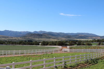 Scenic view of rural landscape