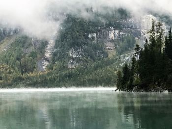 Scenic view of lake against trees
