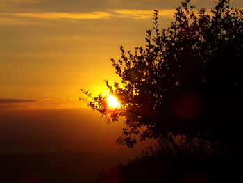 Sun shining over trees during sunset