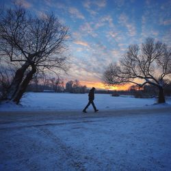 Bare trees on snow covered landscape