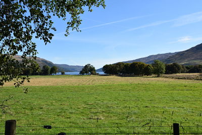 Scenic view of field against sky