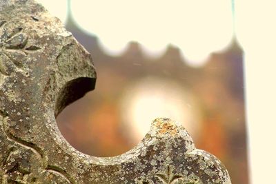 Close-up of statue against sky