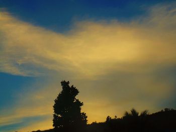 Low angle view of silhouette trees against sky