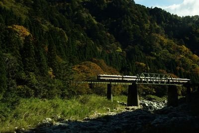 Limited express hida running on the takayama line in autumn