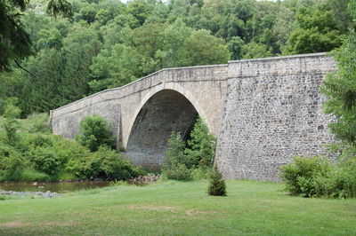 Arch bridge with trees in background