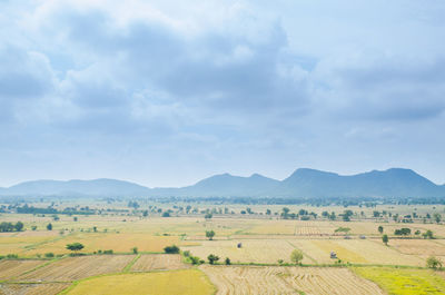 Scenic view of agricultural field against sky