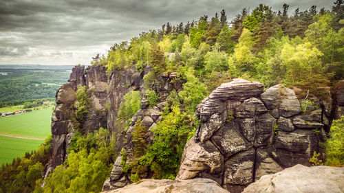 Trees on cliff against sky