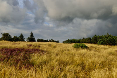 Scenic view of land against sky