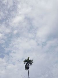 Low angle view of palm tree against cloudy sky