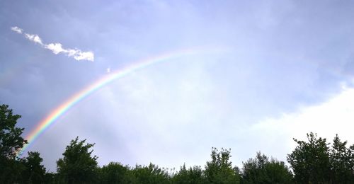 Low angle view of rainbow over trees against sky