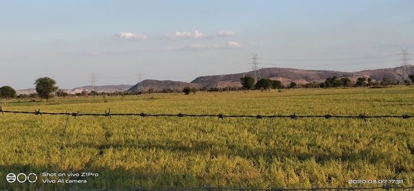 Scenic view of field against sky