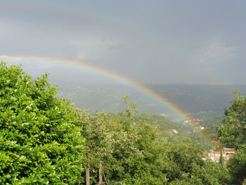 Scenic view of rainbow over trees