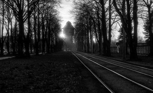 Railroad tracks amidst trees against sky