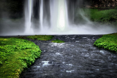 Scenic view of waterfall in forest