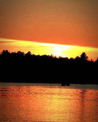 Silhouette of trees at sunset