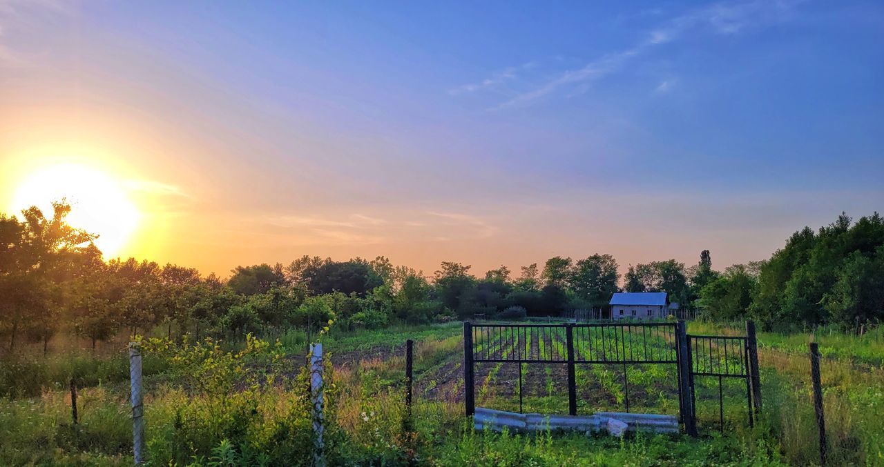 sky, plant, landscape, sunset, field, nature, fence, environment, agriculture, land, rural scene, grass, sunlight, sun, scenics - nature, tree, meadow, rural area, no people, beauty in nature, tranquility, prairie, farm, cloud, horizon, hill, outdoors, gate, blue, tranquil scene, security, architecture, evening, pasture, protection, vineyard, green, growth, crop, dawn