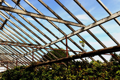 Low angle view of plants growing in greenhouse