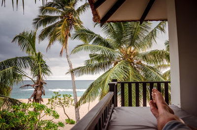 Low section of person on palm tree by swimming pool