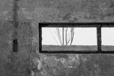 Window of old building