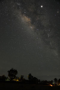 Low angle view of trees against sky at night