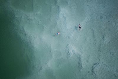 Drone view of men swimming in sea