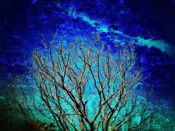 Low angle view of bare trees against blue sky