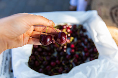 Close-up of hand holding berries