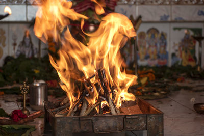 Close-up of fire on log