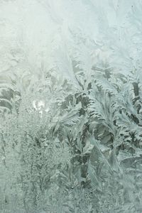 Full frame shot of window