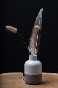 Close-up of feather on table against black background