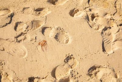 High angle view of footprints on sand