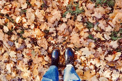 Low section of person standing on maple leaves