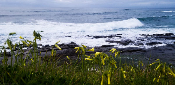 Scenic view of sea against sky