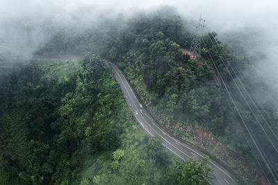 High angle view of road amidst trees in forest