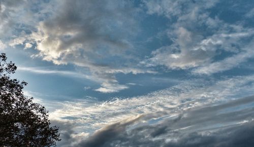 Low angle view of trees against cloudy sky