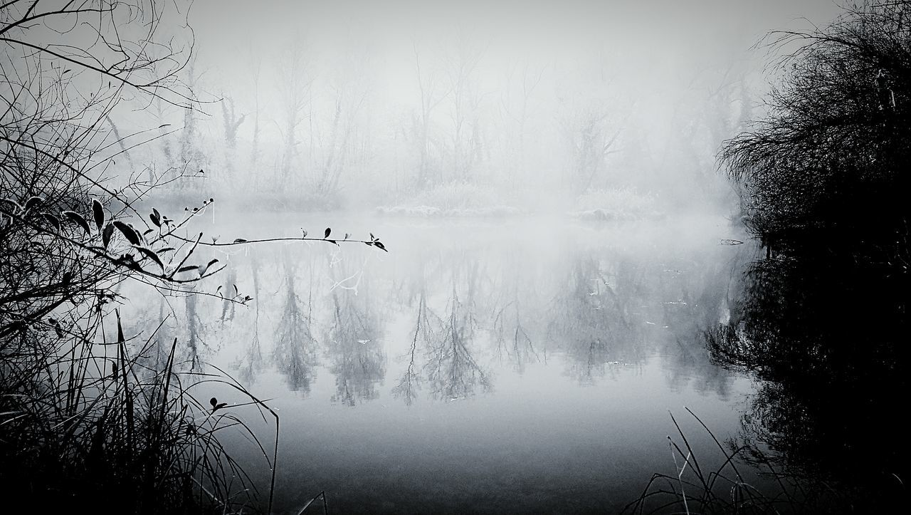 CLOSE-UP OF BIRDS FLYING AGAINST LAKE