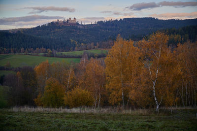 Scenic view of trees in forest against sky during autumn