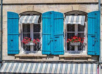 Potted plants on window of building