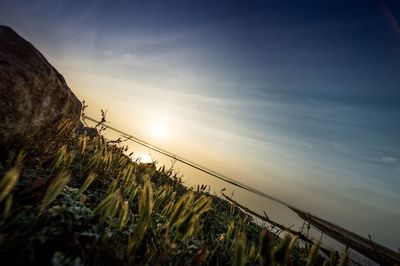 Scenic view of sea at sunset