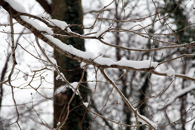 winter