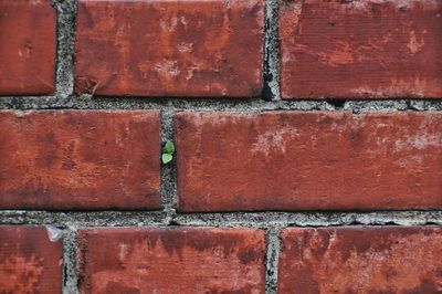 Close-up of brick wall