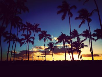 Silhouette palm trees at sunset