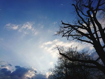 Low angle view of silhouette tree against sky