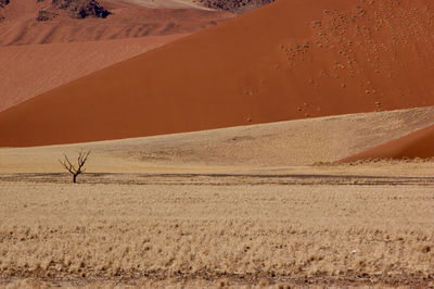 Scenic view of desert against sky